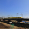 陽の光浴びて
