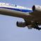 飛行機