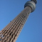 Skytree