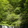 高原の滝