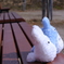 トトロ in 公園①