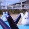 トトロ in 公園③