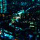 DSC00995