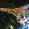 night zoo