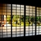 光明禅寺_2