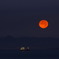 月夜を行く