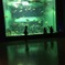 水族館にて