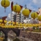 floats in the sky
