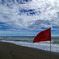 Pirate Flag