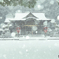 雪の日の参拝
