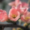 P2100071AAA