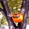 ハロウィンを探せ！2