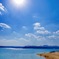 2月真夏日