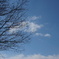 DSC00600