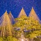 雪降る兼六園