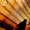 Glass Wall