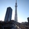 きちんと言ってね