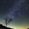 白樺星心地