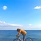 海を走る夢