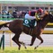 メジャーエンブレム 府中競馬場