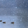 静雪