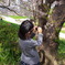 桜も緊張→汗