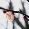 春近し