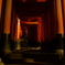 紅いトンネル