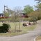 4月春、阿久比公園にて018