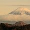 紅富士に庇