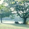 日曜日の万博公園
