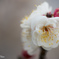 Ephemeral