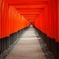 magnificent road 
