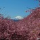 商談帰りに寄ってみました　1