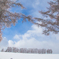 Snowy world