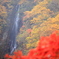 紅葉の八滝