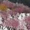 雪景色の桃源郷