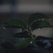 雨だ〜(´-ω-｀)
