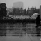 雨の中