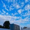 青と白