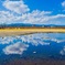 大きな水溜り
