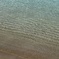 透き通った海
