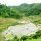 Rice terraces in Banaue 2