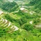 Rice terraces in Banaue 7