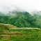 Rice terraces in Banaue 8