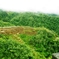 Rice terraces in Banaue 9