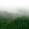 Rice terraces in Banaue 11