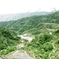 Rice terraces in Banaue 13