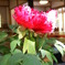 DSC00259
