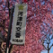 河津町交番